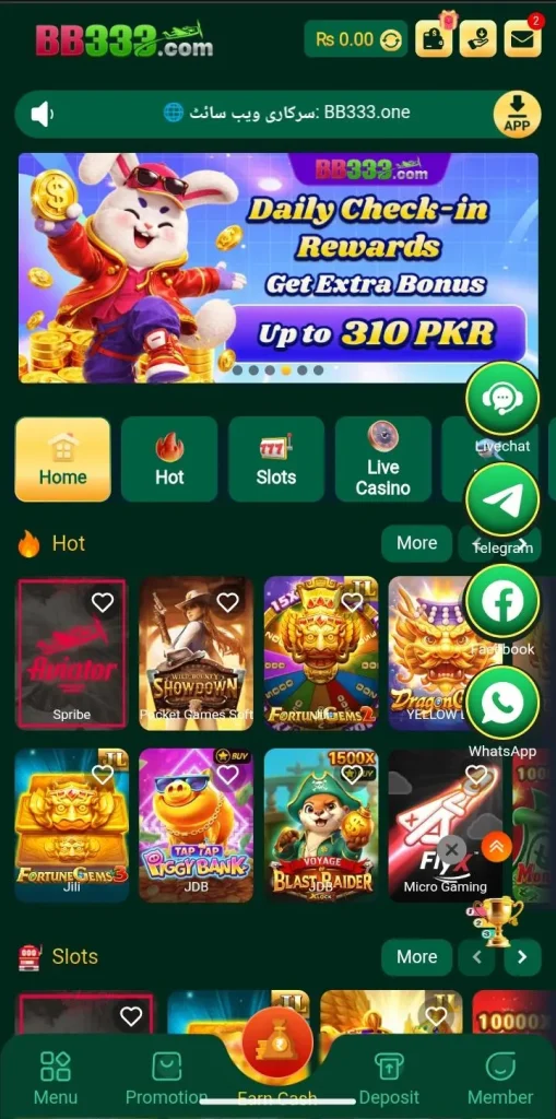 BB333 Game